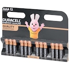 Piles Duracell Everyday Alkaline AAA à Action dans Wihr-Au-Val Piles Duracell Everyday Alkaline AAA à Action dans Wihr-Au-Val