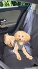 Auto-Schondecke im Angebot bei REWE in Wilhelmshaven Auto-Schondecke Angebote von ZooRoyal bei REWE Wilhelmshaven für 8,99 €