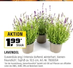 Angebot im OBI Sondershausen Prospekt OBI Sondershausen Prospekt mit im Angebot fĂŒr 1,99 âŹ