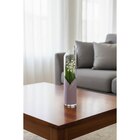 Muguet 3 griffes en promo chez Carrefour Market Niort à 9,99 €