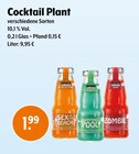 Cocktail Plant Angebote bei Trink und Spare Bergisch Gladbach für 1,99 €
