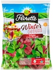 Salat Wintergenuss oder Salat Sweet & Crispy bei REWE im Ehingen Prospekt für 1,79 €