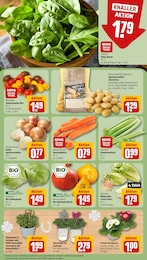 REWE Kartoffeln im Prospekt REWE Kartoffeln im Prospekt