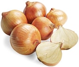 nahkauf Dahlenburg - Gelbe Speisezwiebeln Angebot im Prospekt Gelbe Speisezwiebeln bei nahkauf im Dahlenburg Prospekt für 1,11 €