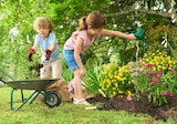 Brouette et outils de jardinage dans le catalogue Lidl