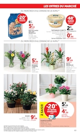 Promos Plantes dans le catalogue "LES PRIX BAS de la beauté" de Hyper U Plantes en promo dans le catalogue Hyper U à la page 63