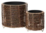 Aktuelle Pflanzen Angebote bei Rusta in Jena Aktuelles Outdoor-Topf Angebot bei Rusta in Jena ab 34,90 €