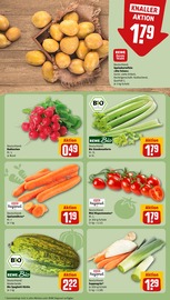 Ähnliche Buchsbaum Angebote im Prospekt "Dein Markt" von REWE in Duisburg Ähnliche Angebote wie Buchsbaum im Prospekt "Dein Markt" auf Seite 7 von REWE in Duisburg