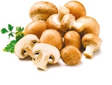 Kulturchampignons braun bei Netto mit dem Scottie im Prospekt "" für 1,09 €