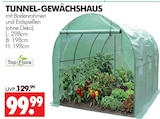Tunnel-Gewächshaus im Angebot bei Wreesmann in Stade Tunnel-Gewächshaus Angebote von Top Flora bei Wreesmann Stade für 99,99 €