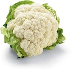 Blumenkohl im Angebot bei Netto Marken-Discount in Paderborn Blumenkohl Angebote von HEIMAT bei Netto Marken-Discount Paderborn für 1,39 €