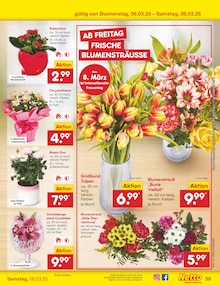 Blumen im Netto Marken-Discount Prospekt "Aktuelle Angebote" mit 60 Seiten (Osnabrück)