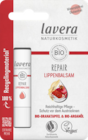 Lippenbalsam von Lavera im aktuellen budni Prospekt für 2,49 €