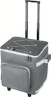 Einkaufstrolley mit Kühlfunktion im Angebot bei Lidl in Kassel Einkaufstrolley mit Kühlfunktion Angebote von TOPMOVE bei Lidl Kassel für 19,99 €