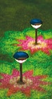 Netto mit dem Scottie Stralendorf - 2er-Pack Solar-Laternenstecker Angebot im Prospekt 2er-Pack Solar-Laternenstecker bei Netto mit dem Scottie im Stralendorf Prospekt für 9,99 €