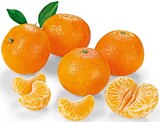 Mandarinen von REWE Beste Wahl im aktuellen nahkauf Prospekt für 1,99 €
