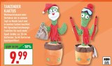 Aktuelles Tanzender Kaktus Angebot bei Marktkauf in Wuppertal ab 9,99 €
