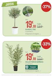 Offre Olivier dans le catalogue Botanic du moment à la page 4