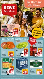 Ähnliche Angebote wie Bio Fisch im Prospekt "Dein Markt" auf Seite 1 von REWE in Osnabrück