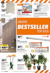 Aktueller OBI Prospekt mit Orchidee, "BIBERSTARKE ANGEBOTE!", Seite 18