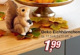 Deko Eichhörnchen Angebote bei KiK Dülmen für 1,99 €