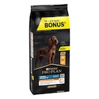 Médor et Compagnie Saint-Gervais-la-Forêt - Promo Croquettes Chien - ProPlan Large Adult Athletic - 14 + 2,5 kg offerts Promo Croquettes Chien - ProPlan Large Adult Athletic - 14 + 2,5 kg offerts à 56,99 € dans le catalogue Médor et Compagnie à Saint-Gervais-la-Forêt