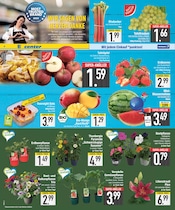 Erdbeeren im EDEKA Prospekt in Augsburg Aktueller EDEKA Prospekt mit Erdbeeren, "DAS BESTE DER WOCHE", Seite 6