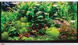 Aquarienbedarf im Dehner Garten-Center Prospekt Aquariumbeleuchtung Universal WRGB von Chihiros im aktuellen Dehner Garten-Center Prospekt für 189,99 €