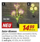 Solar-Blumen im aktuellen toom Baumarkt Prospekt für 14,99 €