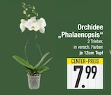 Orchidee „Phalaenopsis“ Angebote bei EDEKA Augsburg für 7,99 €