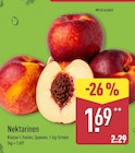 ALDI Nord Ilsenburg - Nektarinen Angebot im Prospekt Nektarinen bei ALDI Nord im Ilsenburg Prospekt für 1,69 €