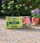 Terreau universel - U dans le catalogue U Express