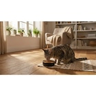 Croquettes pour chat stérilisé - ULTIMA dans le catalogue Carrefour