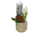 Composition noël avec sapin - Lidl à Mulhouse Composition noël avec sapin en promo chez Lidl Mulhouse à 9,99 €