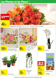 Offre Jardinage dans le catalogue Carrefour du moment à la page 17