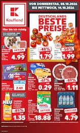 Kaufland Prospekt für Naumburg mit 70 Seiten Kaufland Prospekt für Naumburg: "Hier bin ich richtig", 70 Seiten, 08.10.2026 - 14.10.2026