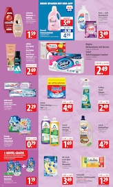 Aktueller famila Nordost Prospekt mit Shampoo, "besser als gut!", Seite 16