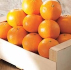 Promo Mandarine à 2,59 € dans le catalogue Intermarché à Ploemeur