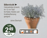 Silberdraht im V-Markt Prospekt Silberdraht von im aktuellen V-Markt Prospekt für 2,49 €