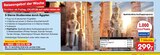 5-Sterne-Studienreise durch Ägypten im Angebot bei Netto Marken-Discount in Oldenburg 5-Sterne-Studienreise durch Ägypten Angebote bei Netto Marken-Discount Oldenburg für 299,00 €