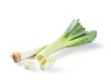 Lidl Quickborn - Porree Angebot im Prospekt Porree bei Lidl im Quickborn Prospekt für 0,55 €