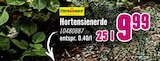 Aktuelles Hortensienerde Angebot bei Hornbach in Salzgitter ab 9,99 €