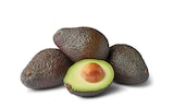 Bio-Avocado bei Penny im Schönau Prospekt für 1,49 €