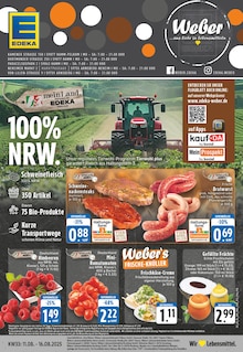 EDEKA Prospekt "Aktuelle Angebote" mit  Seiten (Arnsberg)
