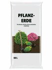 Pflanzerde Angebote bei Hagebaumarkt Schwerin für 6,99 €