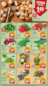 Blumen im REWE Prospekt "Dein Markt" mit 30 Seiten (Dortmund)