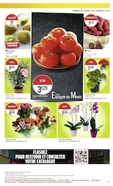 Orchidée Angebote im Prospekt "Casino Supermarché" von Casino Supermarchés auf Seite 11