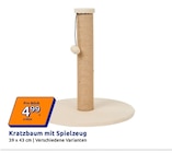 Aktuelles Kratzbaum mit Spielzeug Angebot bei Action in Leipzig ab 4,99 €