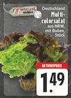 Multicolorsalat bei EDEKA im Xanten Prospekt für 1,49 €