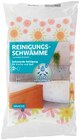 Aktuelles Reinigungsschwamm Angebot bei REWE in Hamburg ab 1,89 €